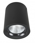 Потолочный светильник Arte Lamp  FACILE A5112PL-1BK