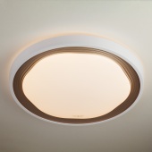 Потолочный светильник Eurosvet 40006/1 LED коричневый