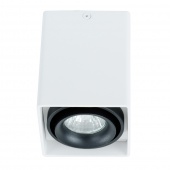 Потолочный светильник Arte Lamp  PICTOR A5655PL-1WH
