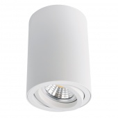 Потолочный светильник Arte Lamp  SENTRY A1560PL-1WH
