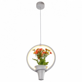 Подвесной светильник Escada Flower 10213/S LED