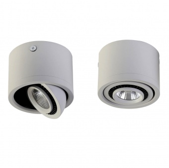 Потолочный светодиодный светильник Favourite Reflector 1774-1C,LED,5Вт,белый