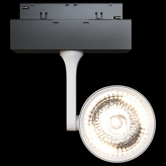 Светильник на штанге Maytoni Track lamps 3 TR024-2-10W4K